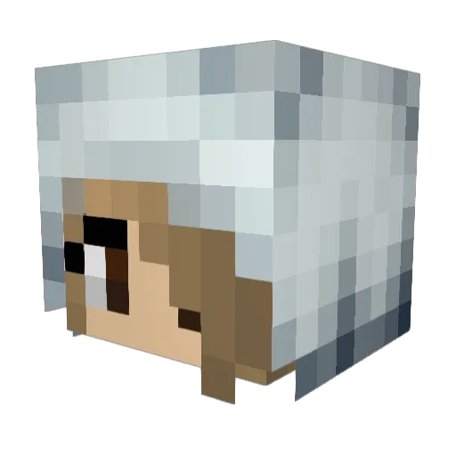 _Skylah_ Minecraft avatar head, 3D render