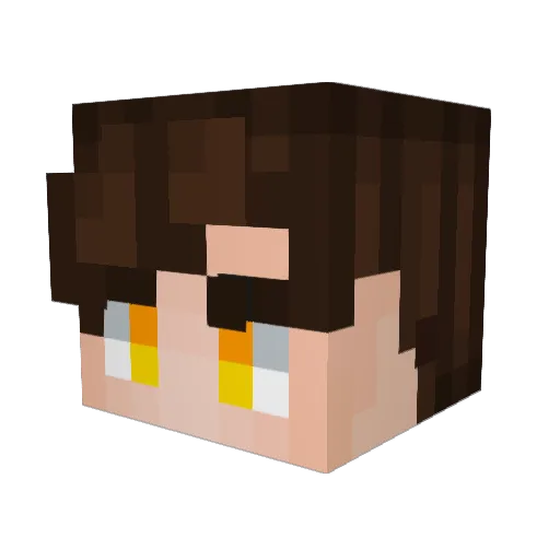 _Skylan_ Minecraft avatar head, 3D render