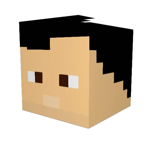 _Slabhead_ Minecraft avatar head, 3D render