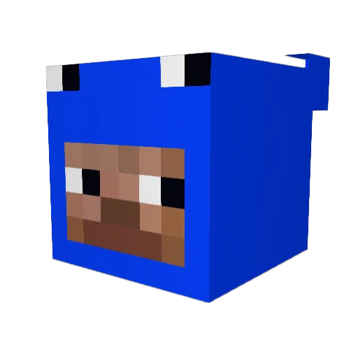 _Slave1 Minecraft avatar head, 3D render
