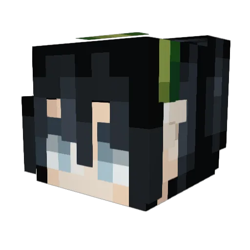 _Slubby_ Minecraft avatar head, 3D render
