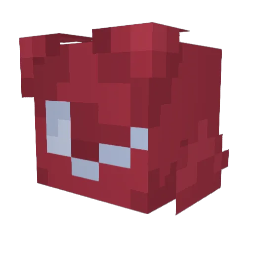 _SlugCat_ Minecraft avatar head, 3D render