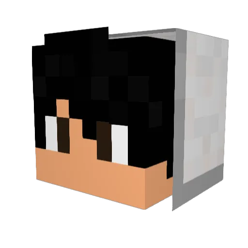 _Sm0rbif_ Minecraft avatar head, 3D render
