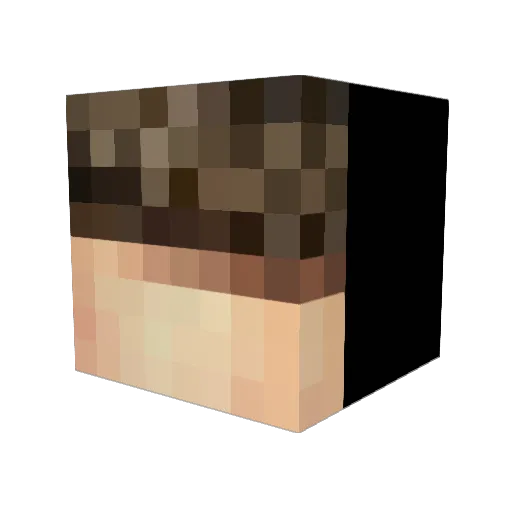 _Smiecht_ Minecraft avatar head, 3D render