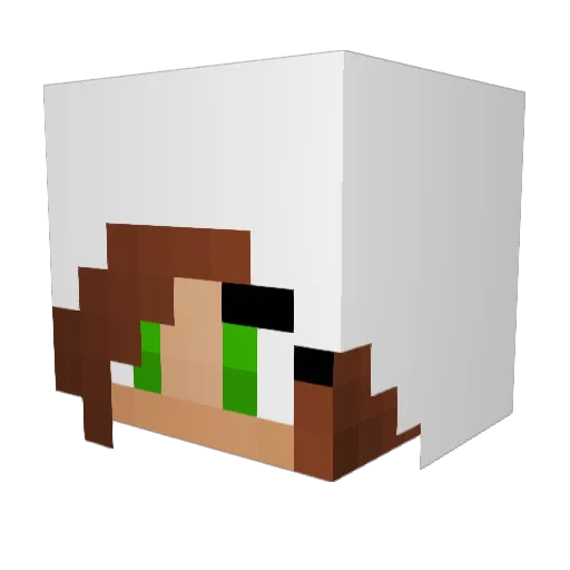 _SmileFace_ Minecraft avatar head, 3D render