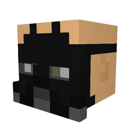 _SmithFire11_ Minecraft avatar head, 3D render