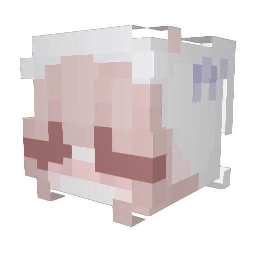 _Sn1ffles_ Minecraft avatar head, 3D render