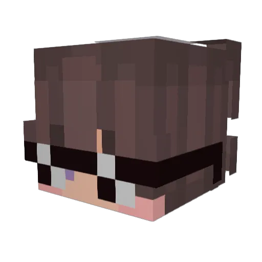 _SniclTD Minecraft avatar head, 3D render