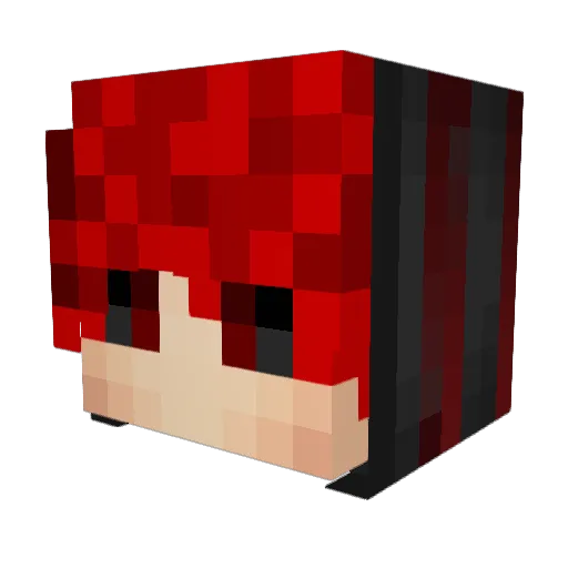 _SnooW_pk Minecraft avatar head, 3D render