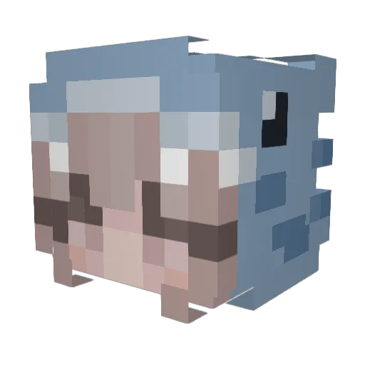 _SnowT1ger_ Minecraft avatar head, 3D render
