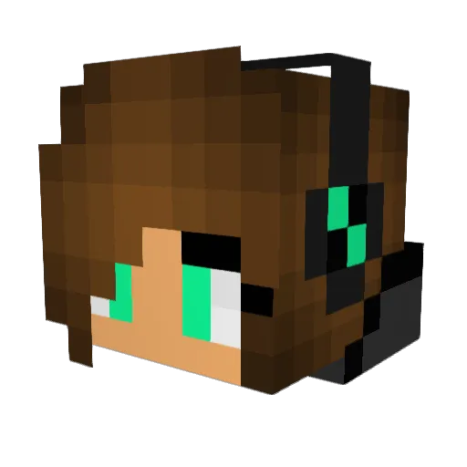 _SoakMate_ Minecraft avatar head, 3D render