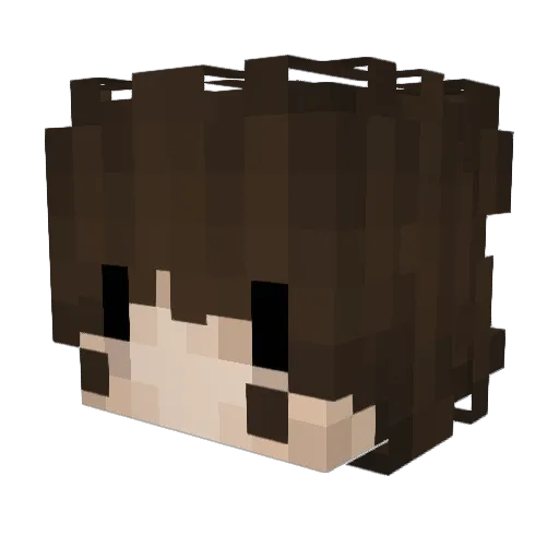 _Soare Minecraft avatar head, 3D render