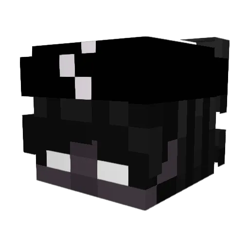 _Sobad Minecraft avatar head, 3D render