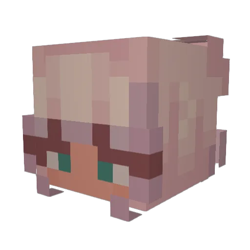 _Sohfu Minecraft avatar head, 3D render