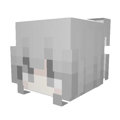 _Solafide_ Minecraft avatar head, 3D render
