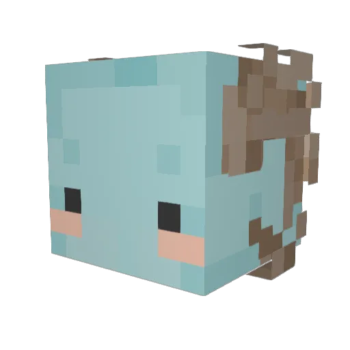 _Solyra Minecraft avatar head, 3D render