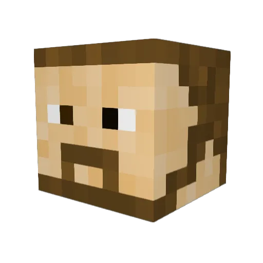 _Some_dude_ Minecraft avatar head, 3D render