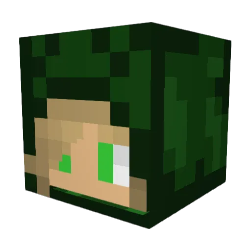 _SometimesSenpai Minecraft avatar head, 3D render