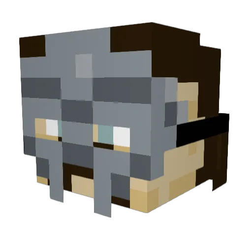 _Somo Minecraft avatar head, 3D render