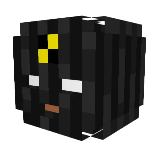 _Sossboy_ Minecraft avatar head, 3D render