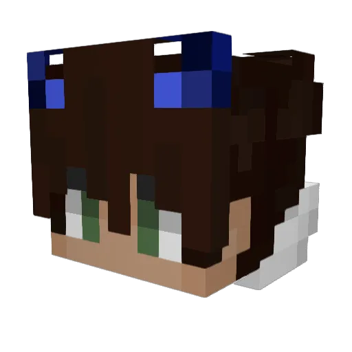 _Souperman Minecraft avatar head, 3D render