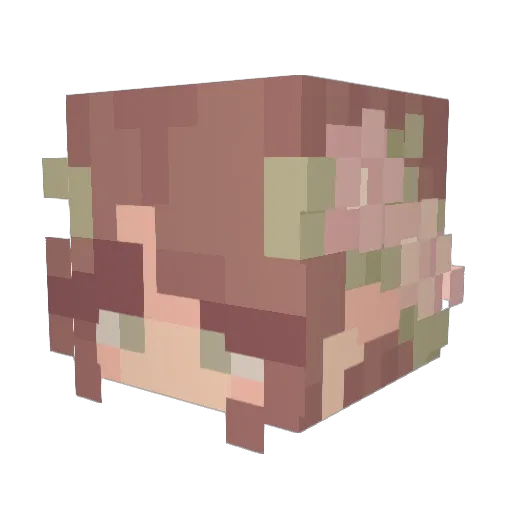 _Soxx_ Minecraft avatar head, 3D render