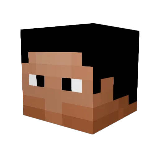 _SpaceInvaders_ Minecraft avatar head, 3D render