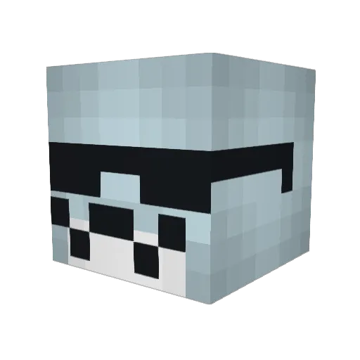 _SpanishDolphin_ Minecraft avatar head, 3D render