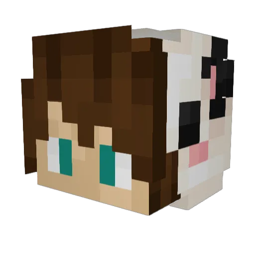 _Spicro_ Minecraft avatar head, 3D render
