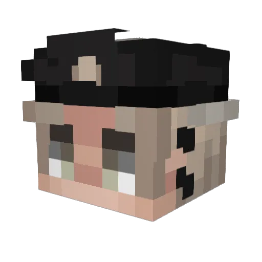 _Sqeeth_ Minecraft avatar head, 3D render