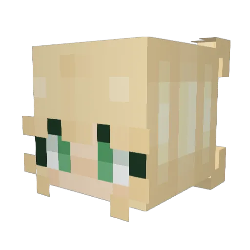 _Squidmar_ Minecraft avatar head, 3D render