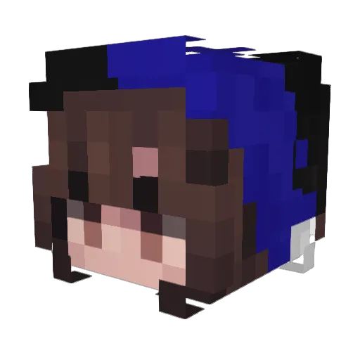 _Squidney_06 Minecraft avatar head, 3D render