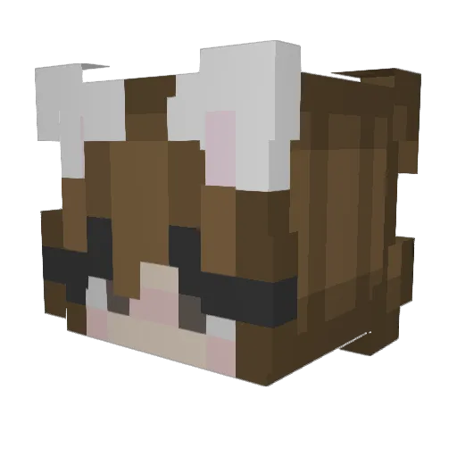 _SquishyMishy_ Minecraft avatar head, 3D render