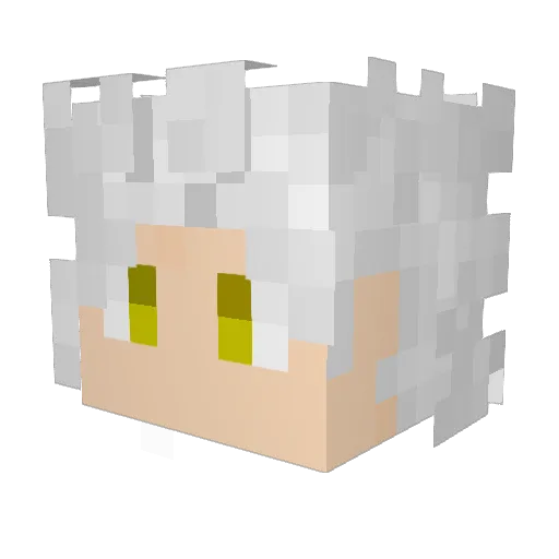 _SrKoKun Minecraft avatar head, 3D render