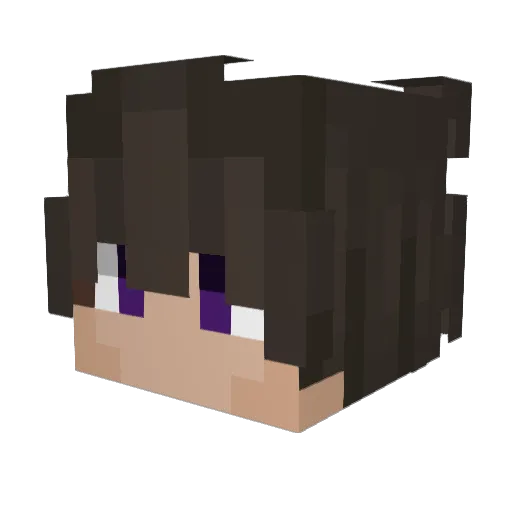 _SrebrnyBrek_ Minecraft avatar head, 3D render