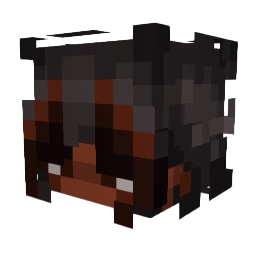 _StarMagicPlayz_ Minecraft avatar head, 3D render