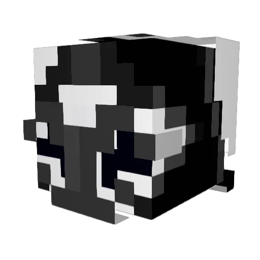 _StarShot Minecraft avatar head, 3D render