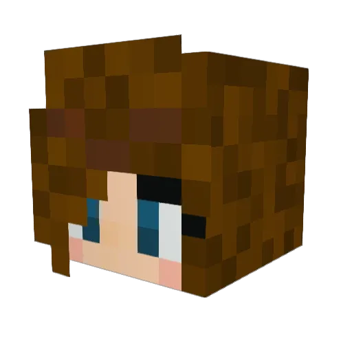 _Star_ Minecraft avatar head, 3D render