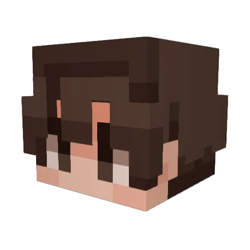_Starbit Minecraft avatar head, 3D render