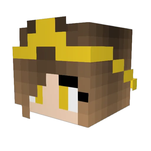 _Starrysky_ Minecraft avatar head, 3D render