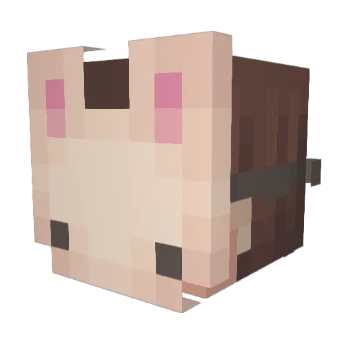 _Staticfox_ Minecraft avatar head, 3D render