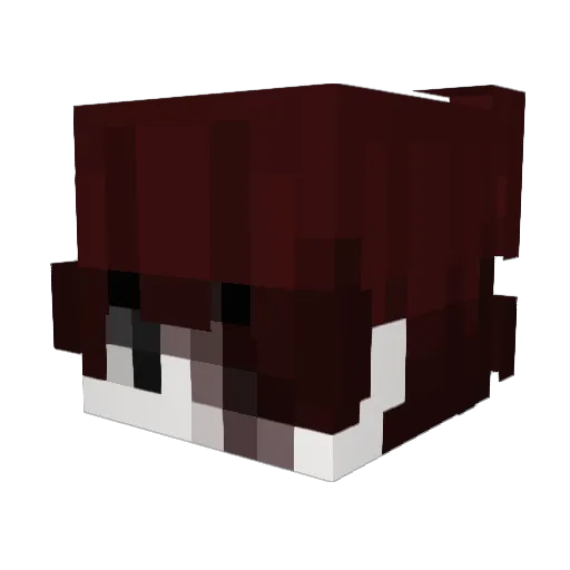 _Stayed_ Minecraft avatar head, 3D render