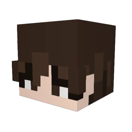 _Stayxx_ Minecraft avatar head, 3D render