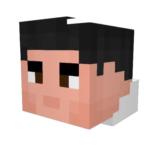 _Stek Minecraft avatar head, 3D render
