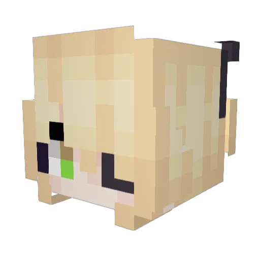 _Stencil_ Minecraft avatar head, 3D render
