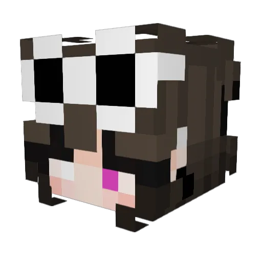 _Step_Daddy_ Minecraft avatar head, 3D render