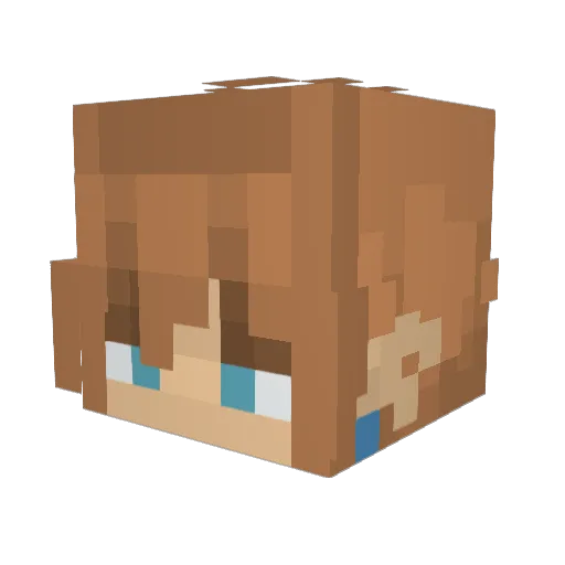 _Stormcatcher Minecraft avatar head, 3D render