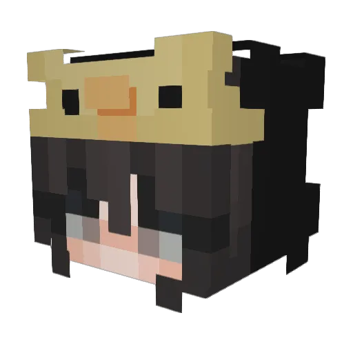 _Stratus_ Minecraft avatar head, 3D render