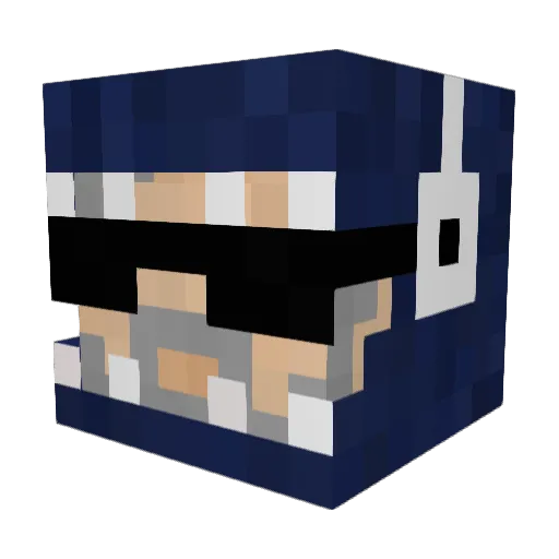 _SucoDeFruta_ Minecraft avatar head, 3D render