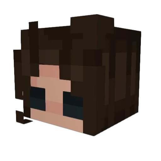 _Sudonym Minecraft avatar head, 3D render